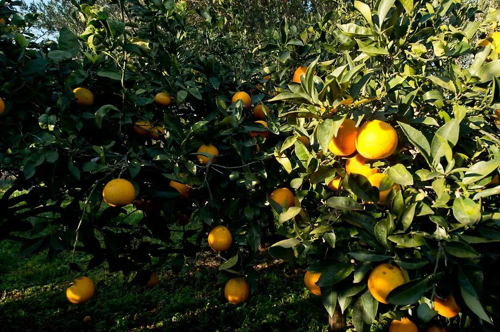 Bauernhof La Mimosa Case Vacanze Marsala Italien