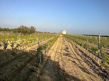 La Mimosa Case Vacanze Marsala 0*,  Italien
